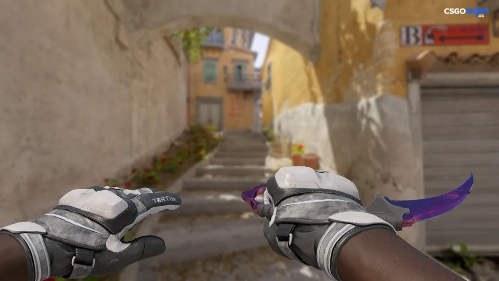 ★ Karambit | Doppler Phase 2 Artwork