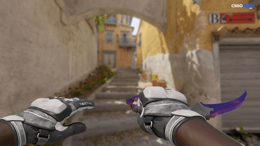 ★ Karambit | Doppler Phase 2 Artwork