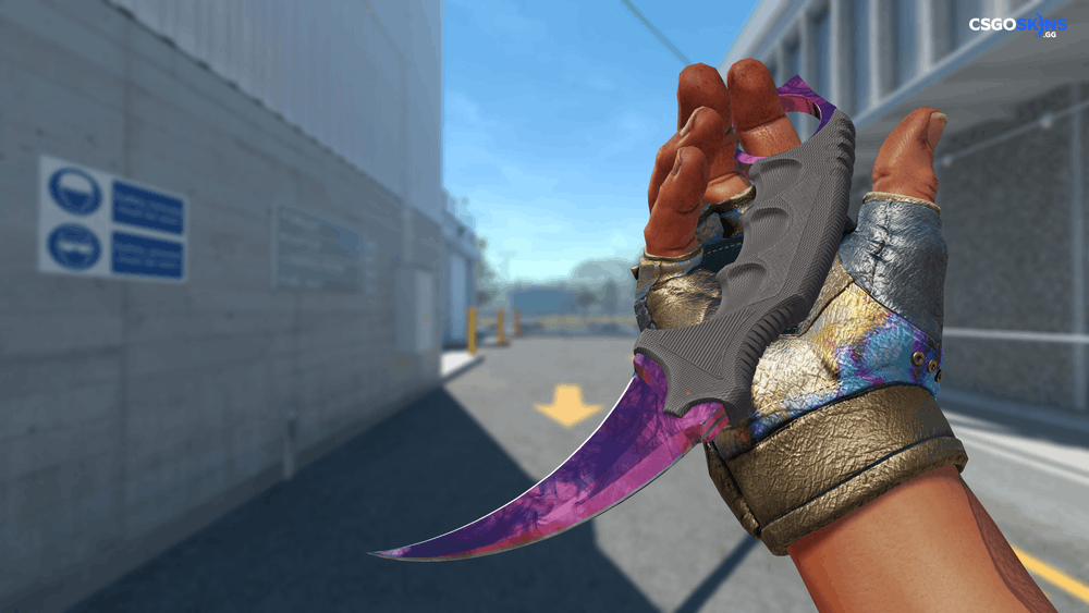 ★ Karambit | Doppler Phase 2 Artwork