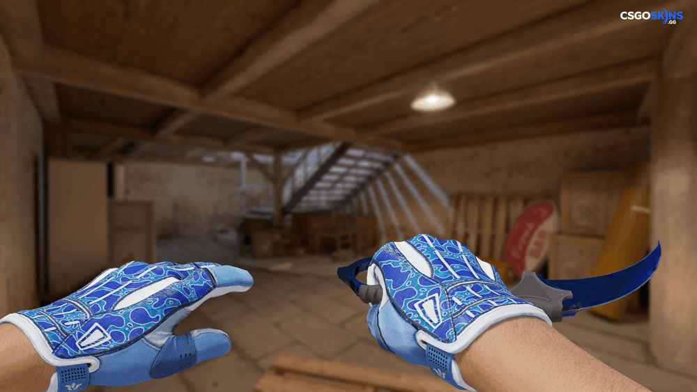 ★ Karambit | Doppler Phase 3 Artwork