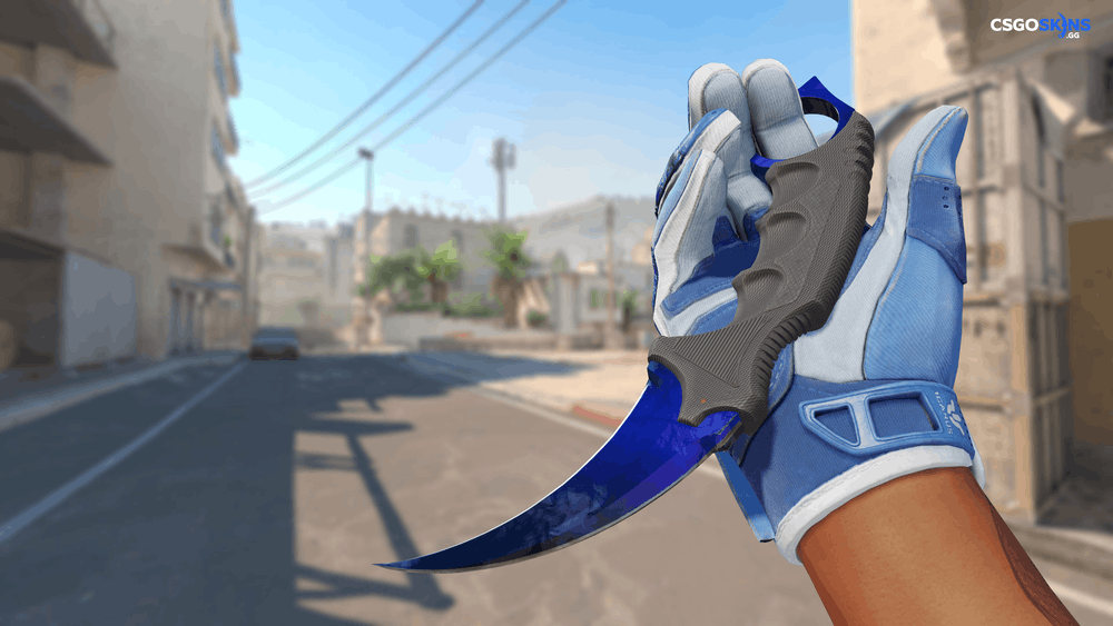 ★ Karambit | Doppler Phase 3 Artwork