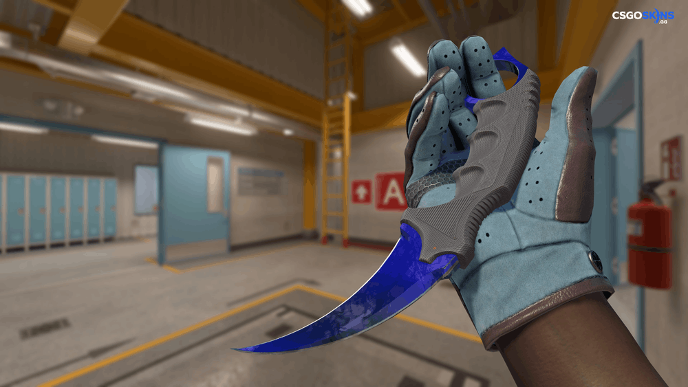 ★ Karambit | Doppler Phase 4 Artwork