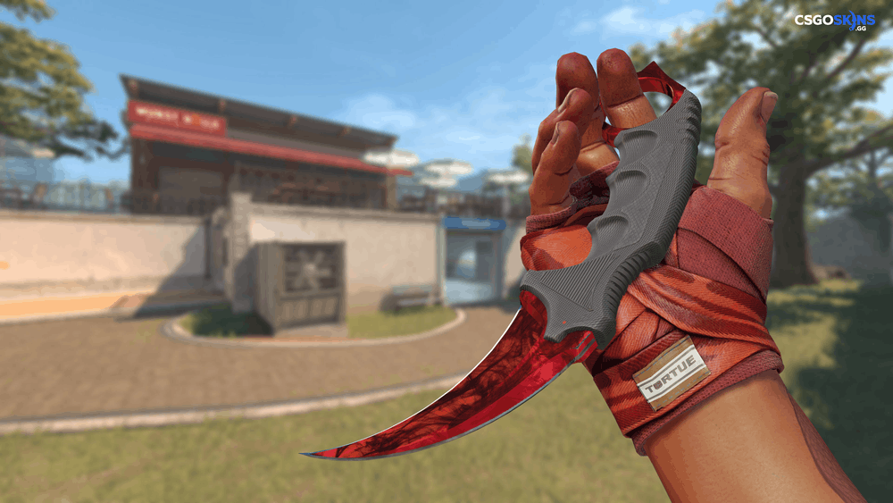 ★ Karambit | Doppler Ruby Artwork