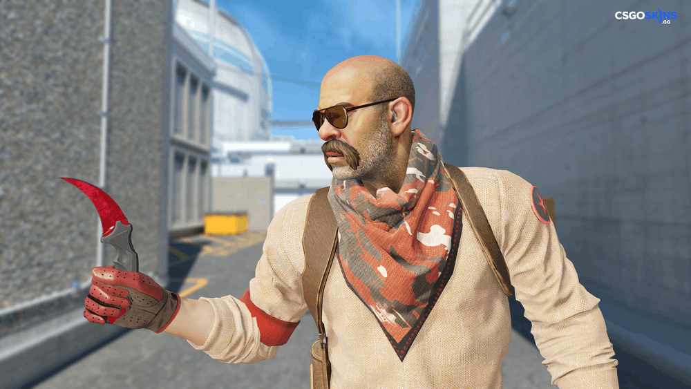 ★ Karambit | Doppler Ruby Artwork