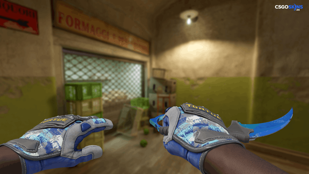 ★ Karambit | Gamma Doppler Phase 1 Artwork