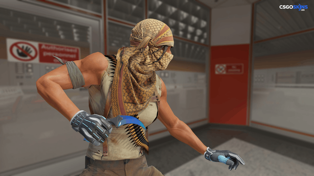 ★ Karambit | Gamma Doppler Phase 1 Artwork