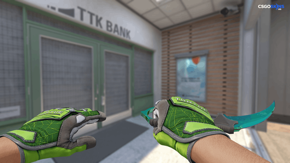 ★ Karambit | Gamma Doppler Phase 2 Artwork