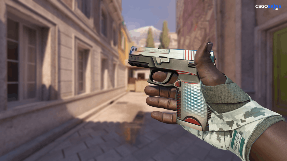 P250 | Cyber Shell Artwork