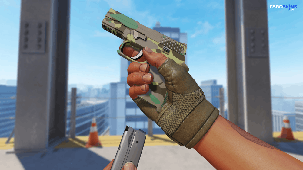 P250 | Boreal Forest Artwork