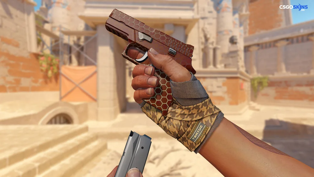 P250 | Hive Artwork