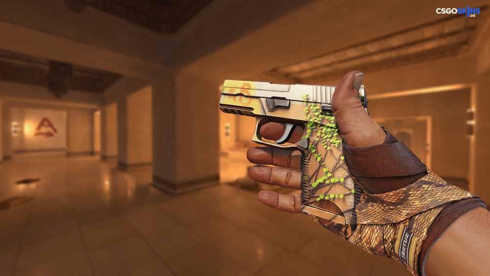 P250 | Inferno Artwork