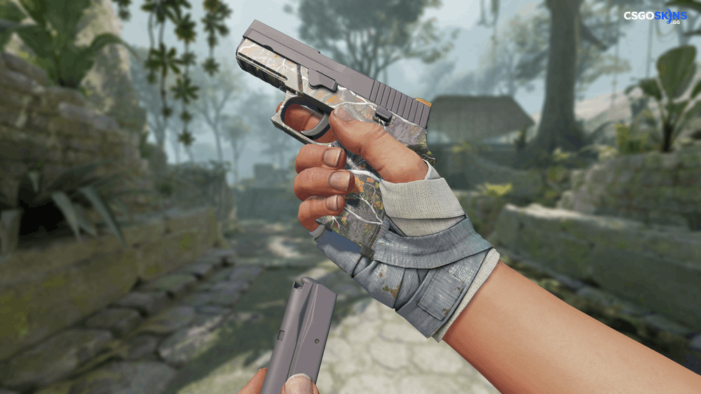 P250 | Small Game Artwork