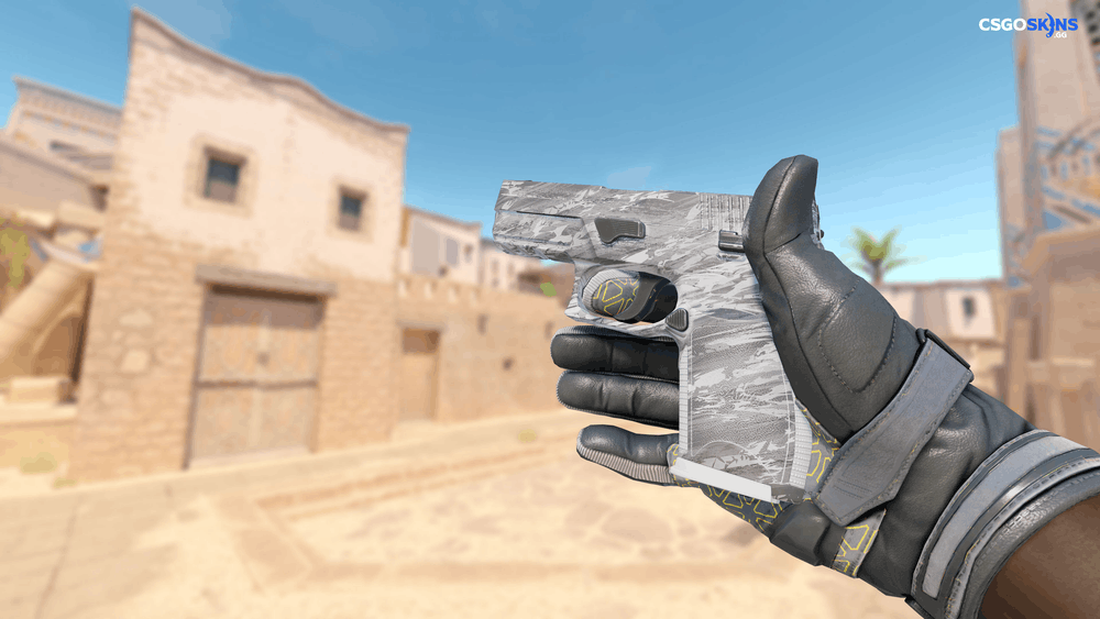 P250 | Sleet Artwork