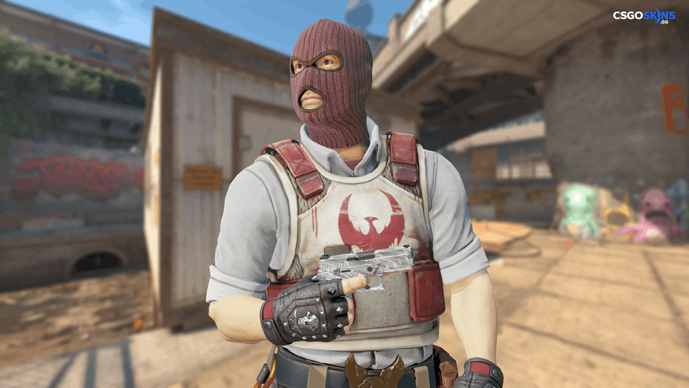 P250 | Sleet Artwork