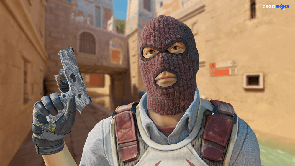 P250 | Sleet Artwork