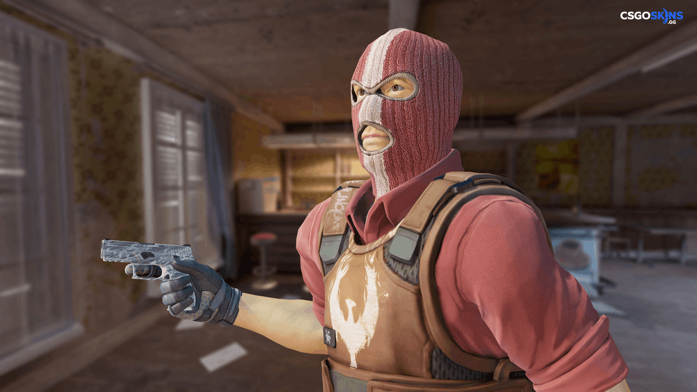 P250 | Sleet Artwork