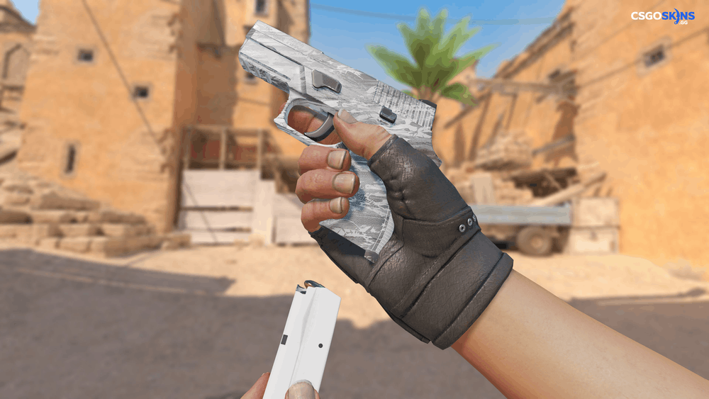 P250 | Sleet Artwork