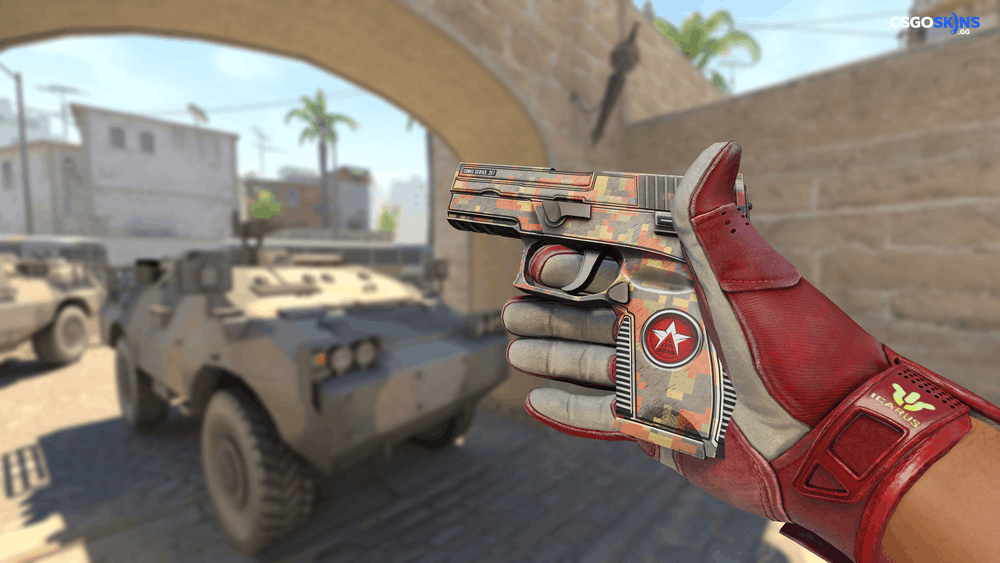 P250 | Red Rock Artwork