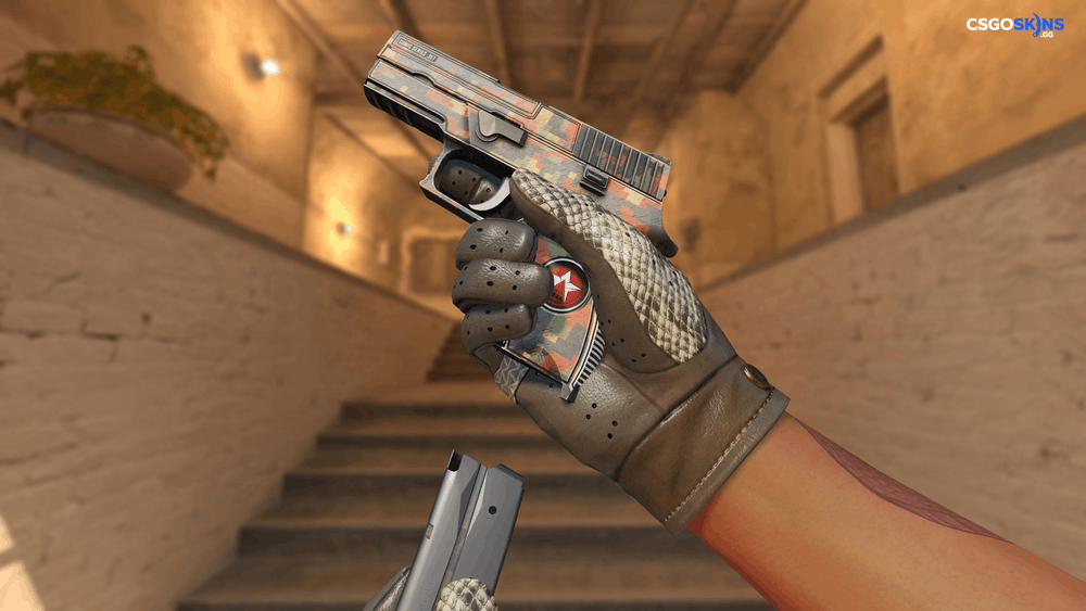 P250 | Red Rock Artwork