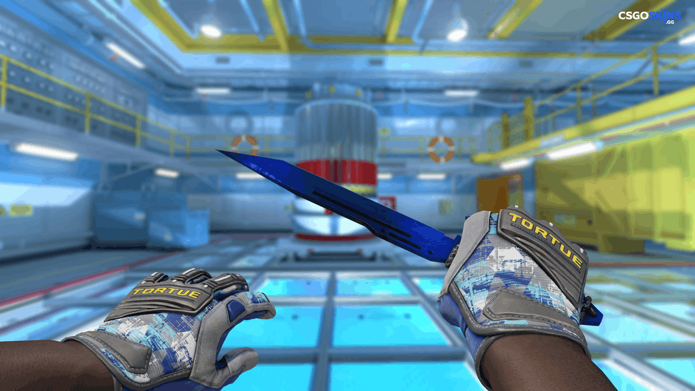 ★ Paracord Knife | Doppler Phase 3 Artwork