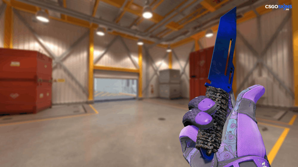 ★ Paracord Knife | Doppler Phase 3 Artwork