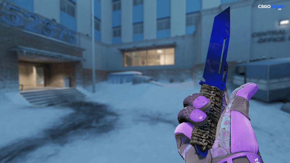 ★ Paracord Knife | Doppler Phase 4 Artwork