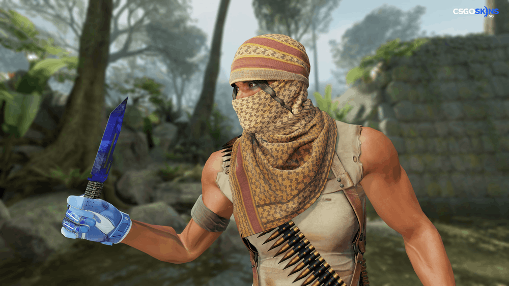 ★ Paracord Knife | Doppler Phase 4 Artwork