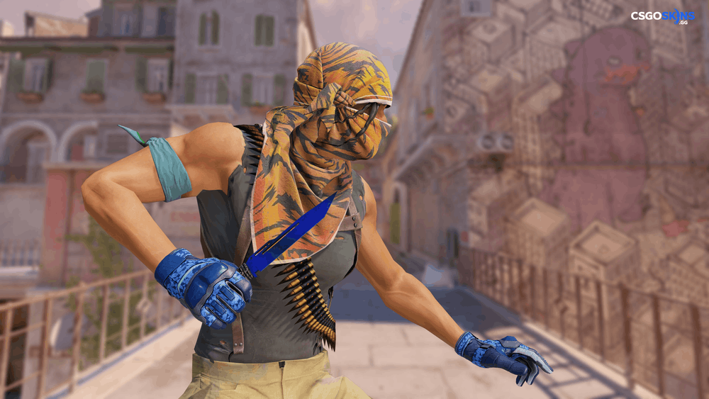 ★ Paracord Knife | Doppler Phase 4 Artwork