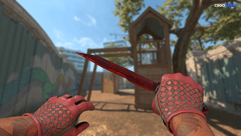 ★ Paracord Knife | Doppler Ruby Artwork