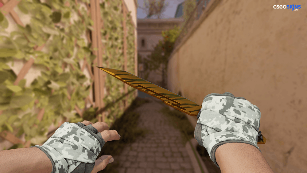 ★ Paracord Knife | Tiger Tooth Artwork