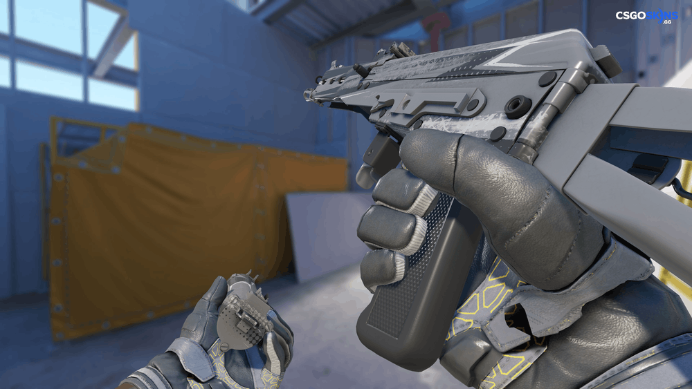 PP-Bizon | Bizoom Artwork