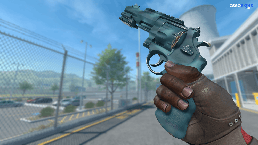 R8 Revolver | Canal Spray Artwork