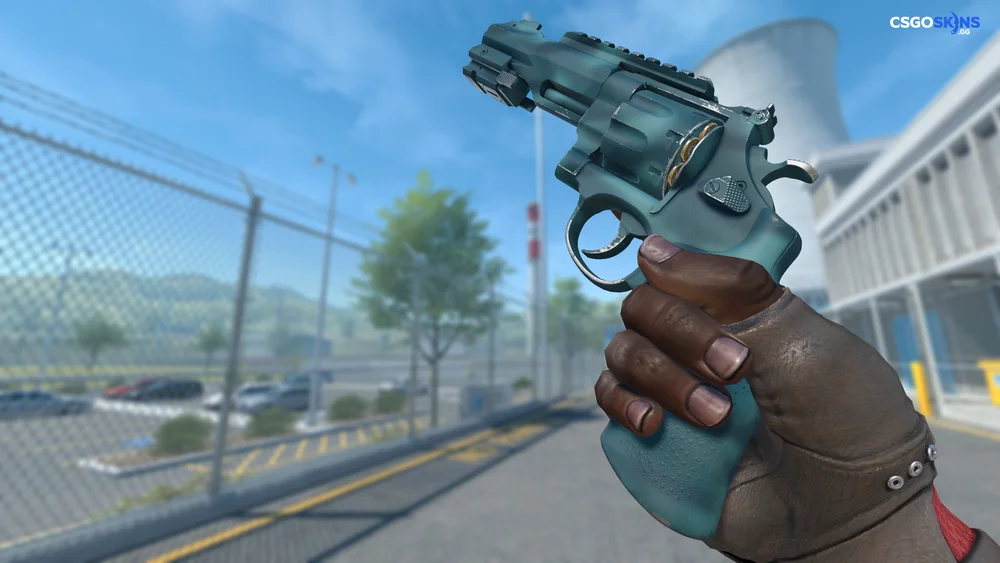 R8 Revolver | Canal Spray Artwork