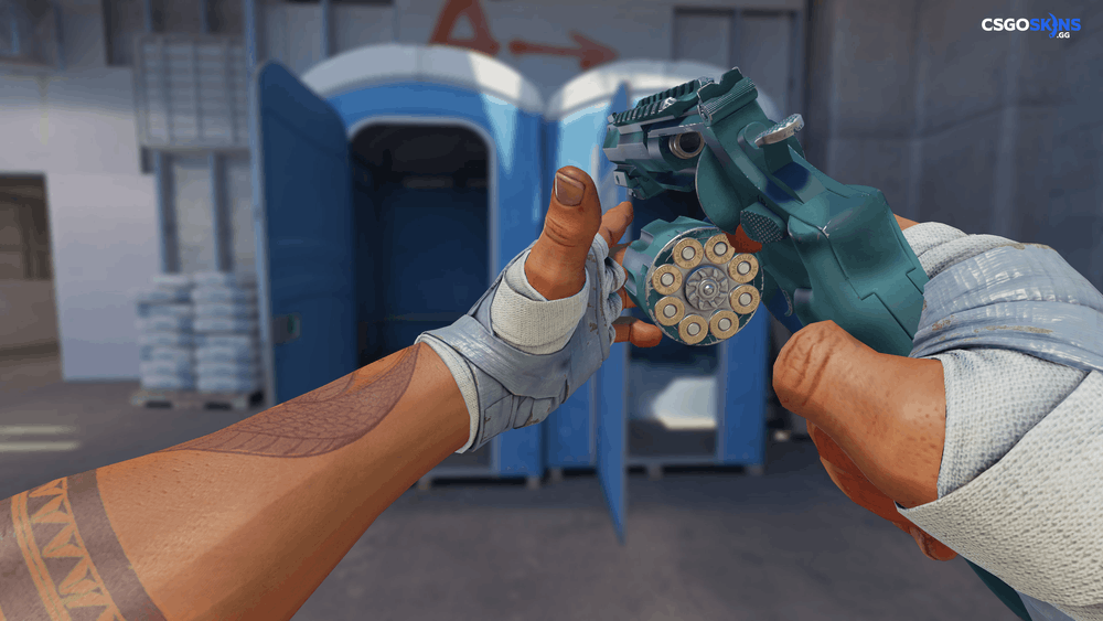 R8 Revolver | Canal Spray Artwork