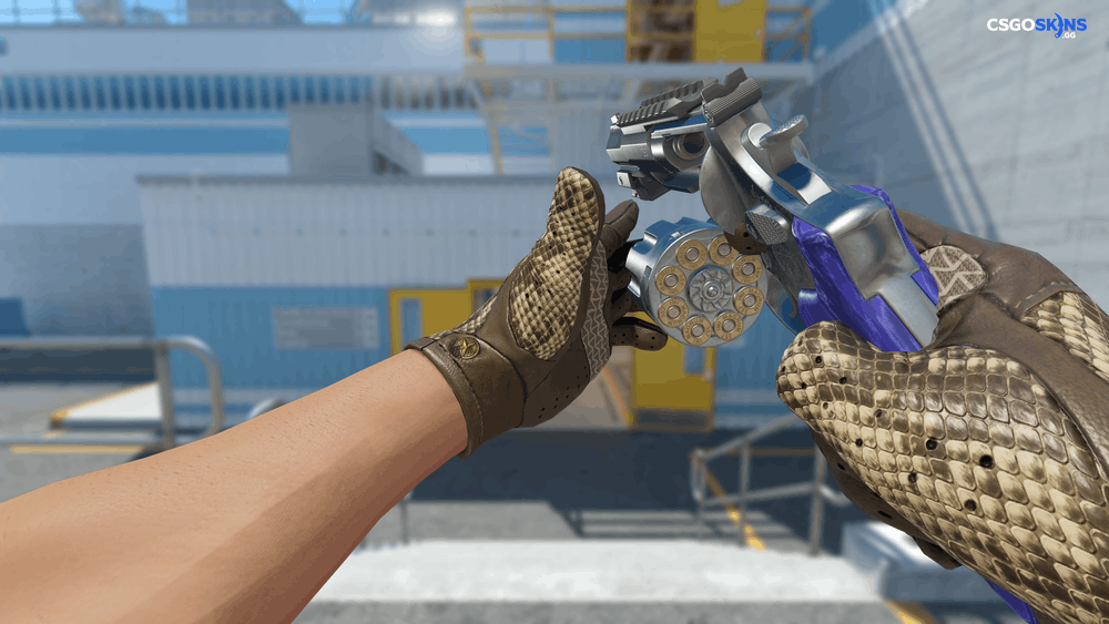 R8 Revolver | Cobalt Grip Artwork