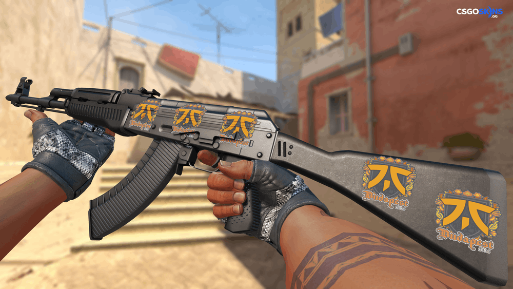 Sticker | fnatic | Budapest 2025 Artwork