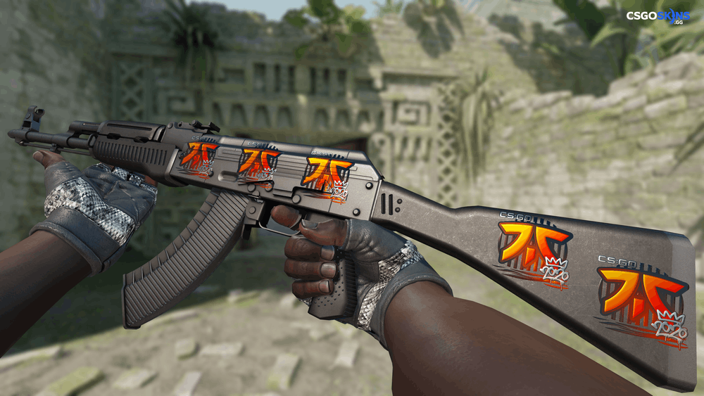 Sticker | Fnatic (Foil) | 2020 RMR Artwork