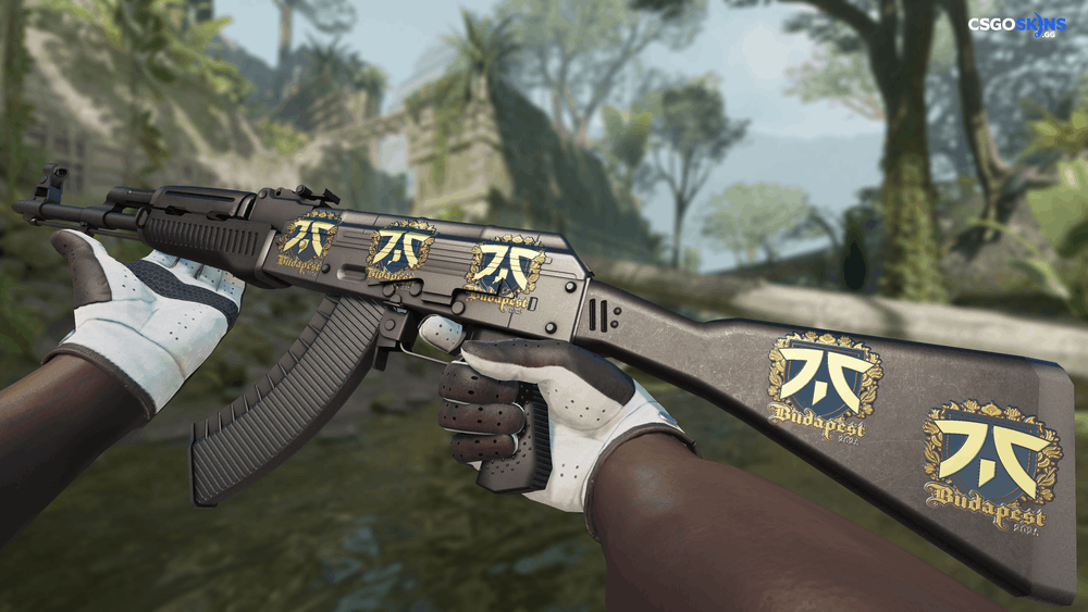 Sticker | fnatic (Gold) | Budapest 2025 Artwork