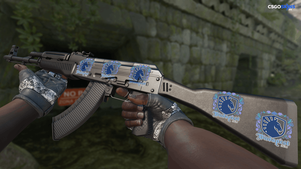 Sticker | Team Liquid | Budapest 2025 Artwork