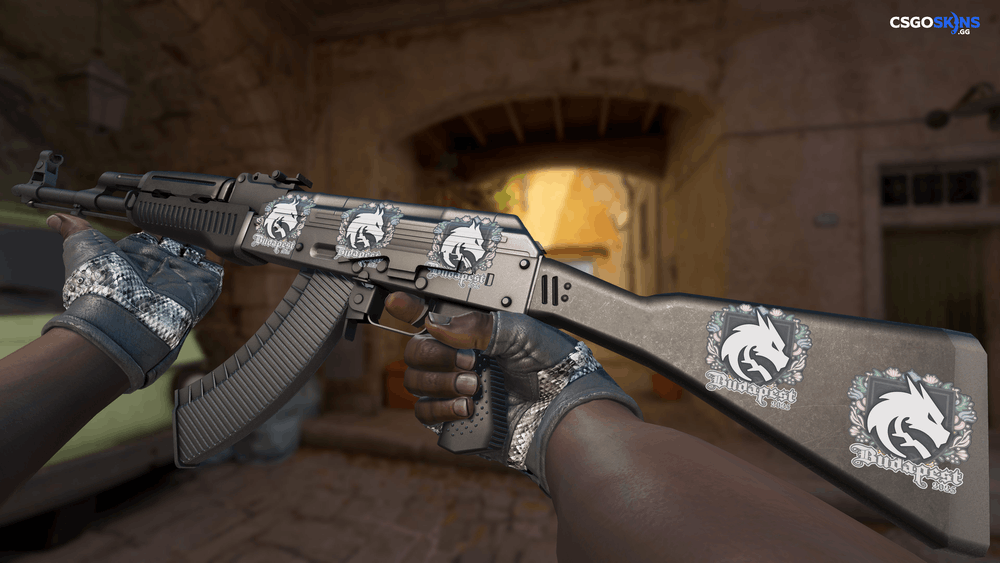 Sticker | Team Spirit | Budapest 2025 Artwork