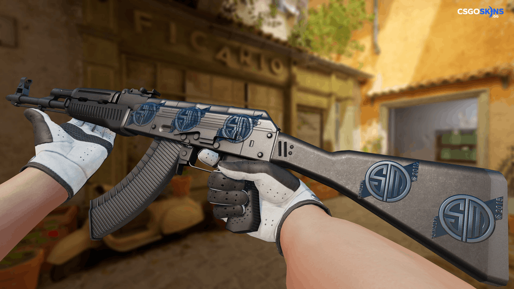 Sticker | TSM Kinguin (Foil) | Katowice 2015 Artwork