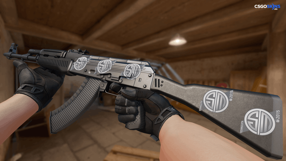 Sticker | TSM Kinguin | Katowice 2015 Artwork