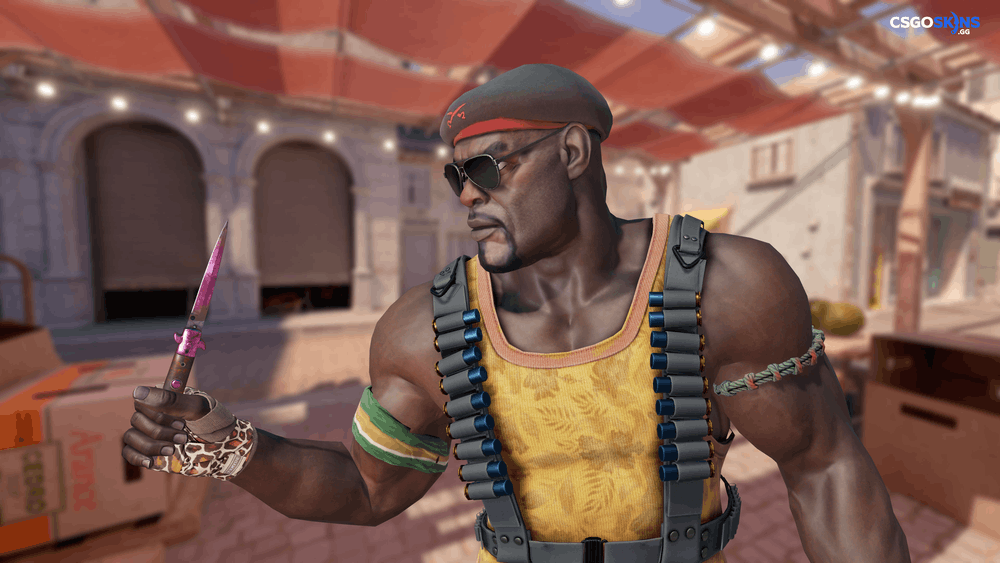 ★ Stiletto Knife | Doppler Phase 2 Artwork