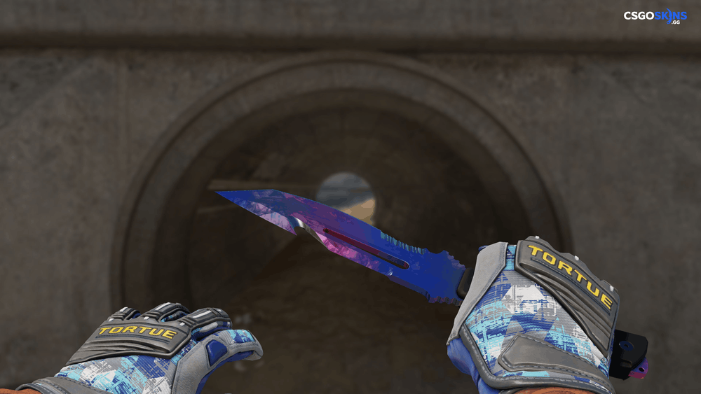 ★ Survival Knife | Doppler Phase 1 Artwork