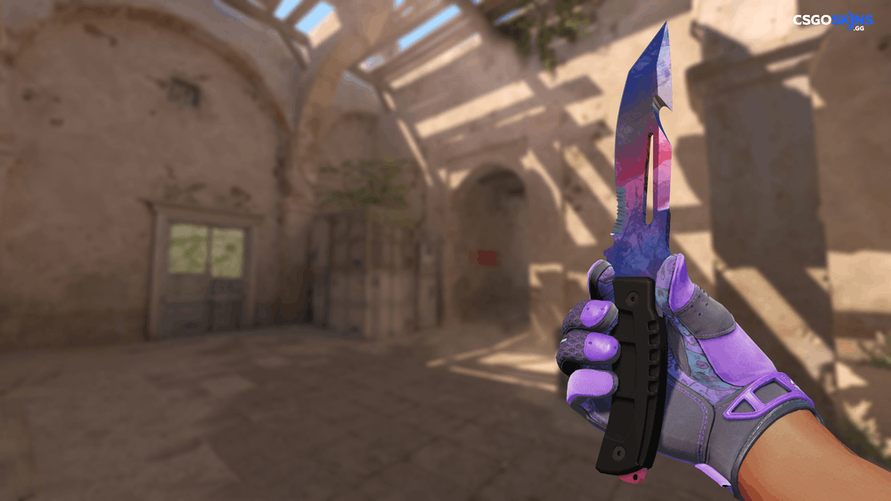 ★ Survival Knife | Doppler Phase 1 Artwork