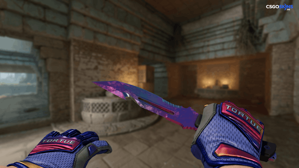 ★ Survival Knife | Doppler Phase 2 Artwork