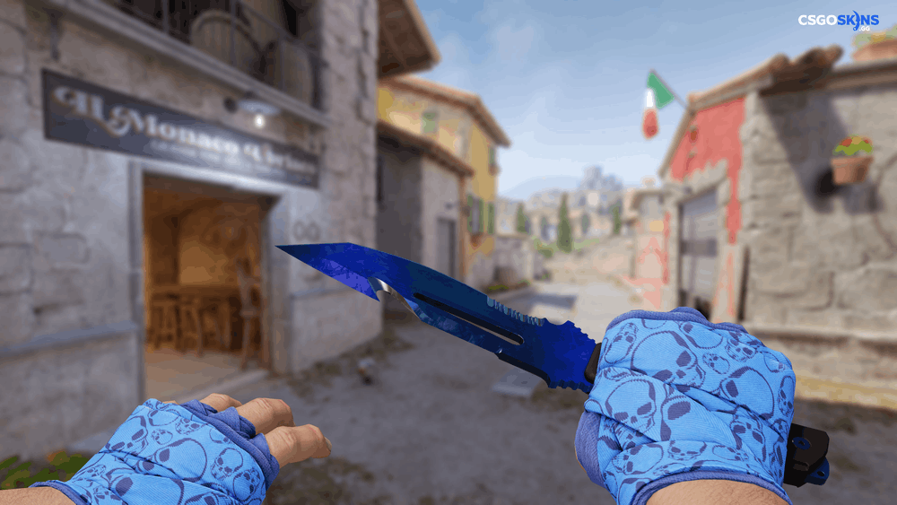 ★ Survival Knife | Doppler Phase 3 Artwork