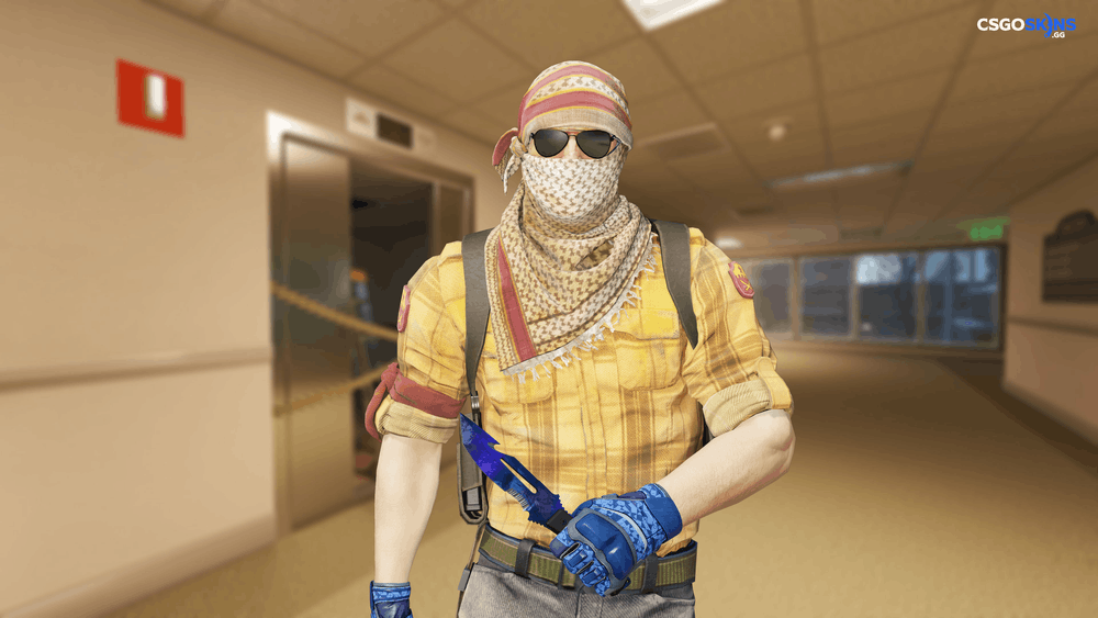 ★ Survival Knife | Doppler Phase 3 Artwork