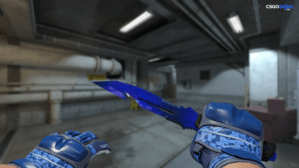 ★ Survival Knife | Doppler Phase 4 Artwork