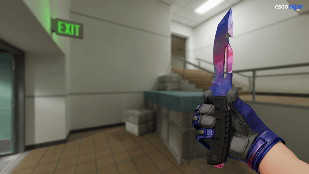 ★ Survival Knife | Doppler Artwork